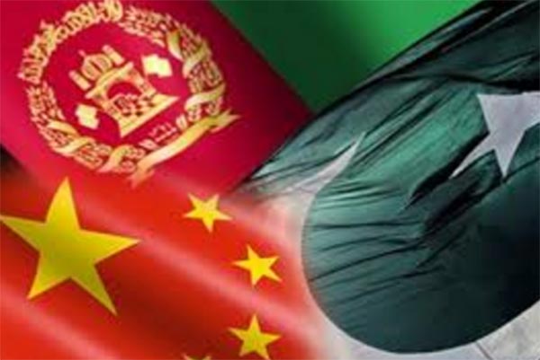 Pakistan doesn't need to be worried about India's economic agenda in Afghanistan:America