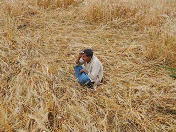 Farmer died, complaint over compensation