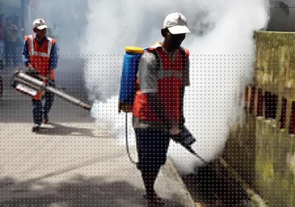 Congress councilor Sujoy Ghatak is infected in Dengue