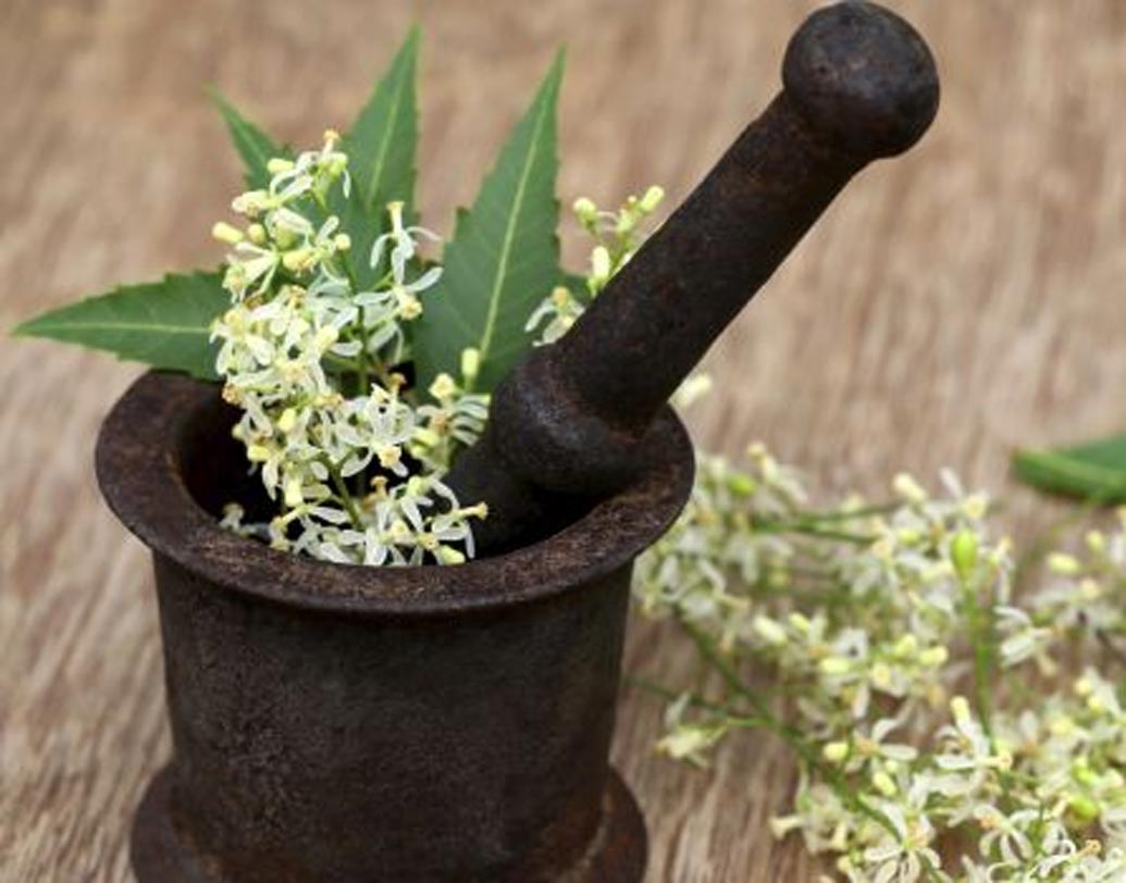 নিম পাতা রসে ভেজা তুলো বালিশের পাশে রাখুন। এতে পোকা-মাকড় আসবে না।