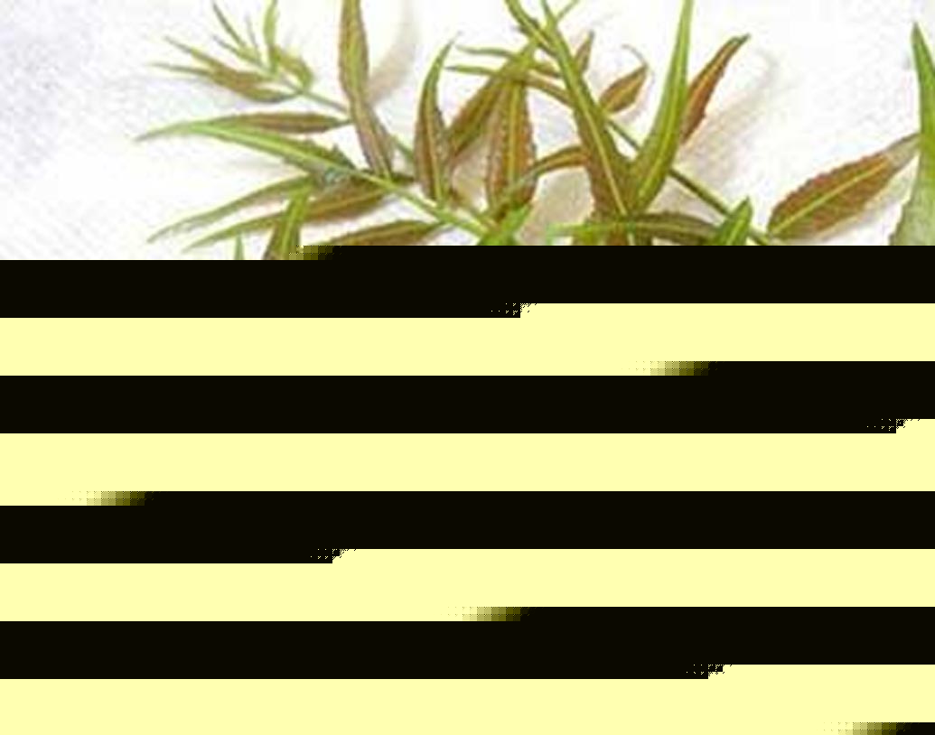 কোনও অংশে কেটে গেলে বা কোনও ভাবে জখম হলে অনেকেই সেখানে নিম পাতা বেটে লাগান। এতে জখম তাড়াতাড়ি সেরে ওঠে এবং কাটার দাগ থাকে না।