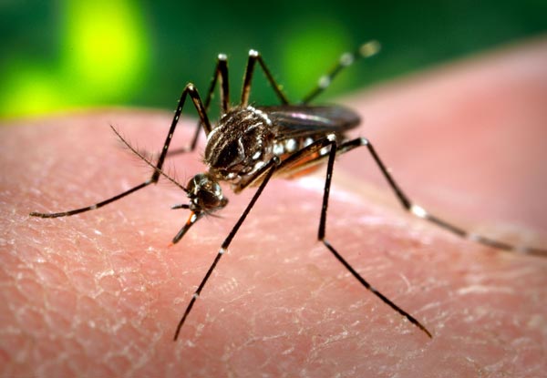 Complaints against medical negligence of Siliguri district hospitals