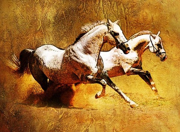 Story of a Scary Evening in monsoon season