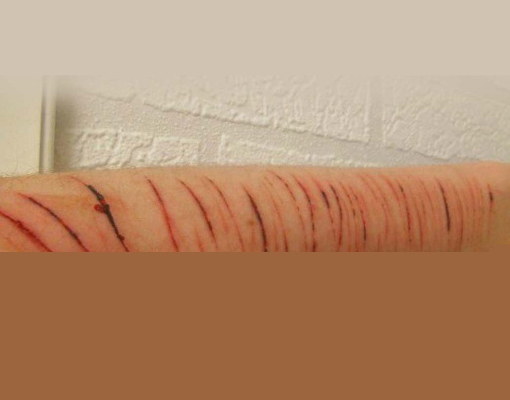 দ্য কাটিং চ্যালেঞ্জ: 
এই গেমে নিজেদের হাত-পা নিজেরাই কাটে অংশগ্রহণকারীরা। সেই ছবি আপলোডও করে সোশ্যাল মিডিয়ায়। <br> তবে এখনও পর্যন্ত এই গেমে কোনও মৃত্যুর ঘটনা ঘটেনি।