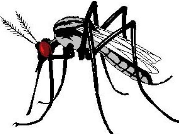 86 people attacked in Dengue in Kharagpur