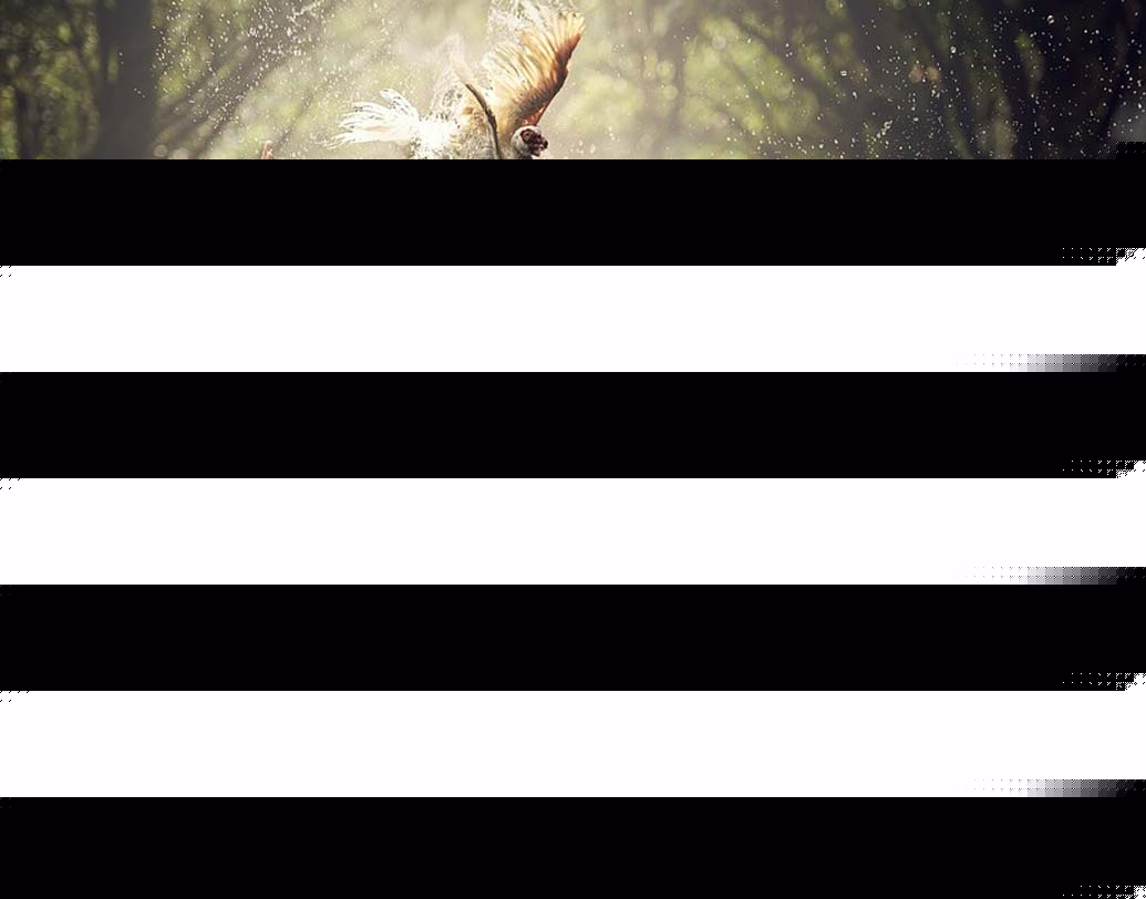 নিজের পরিবার তুমি বেছে নিতে পার না, কিন্তু বন্ধু হল সেই পরিবার যা তুমি বেছে নিতে পার।