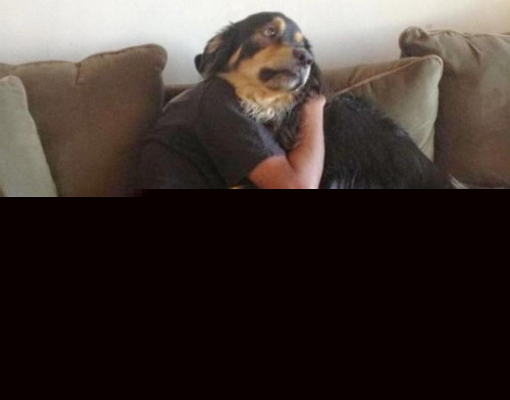 মানুষ আর কুকুরের শরীর মিলেমিশে একাকার হয়ে গিয়েছে ছবি তোলার গুণে।