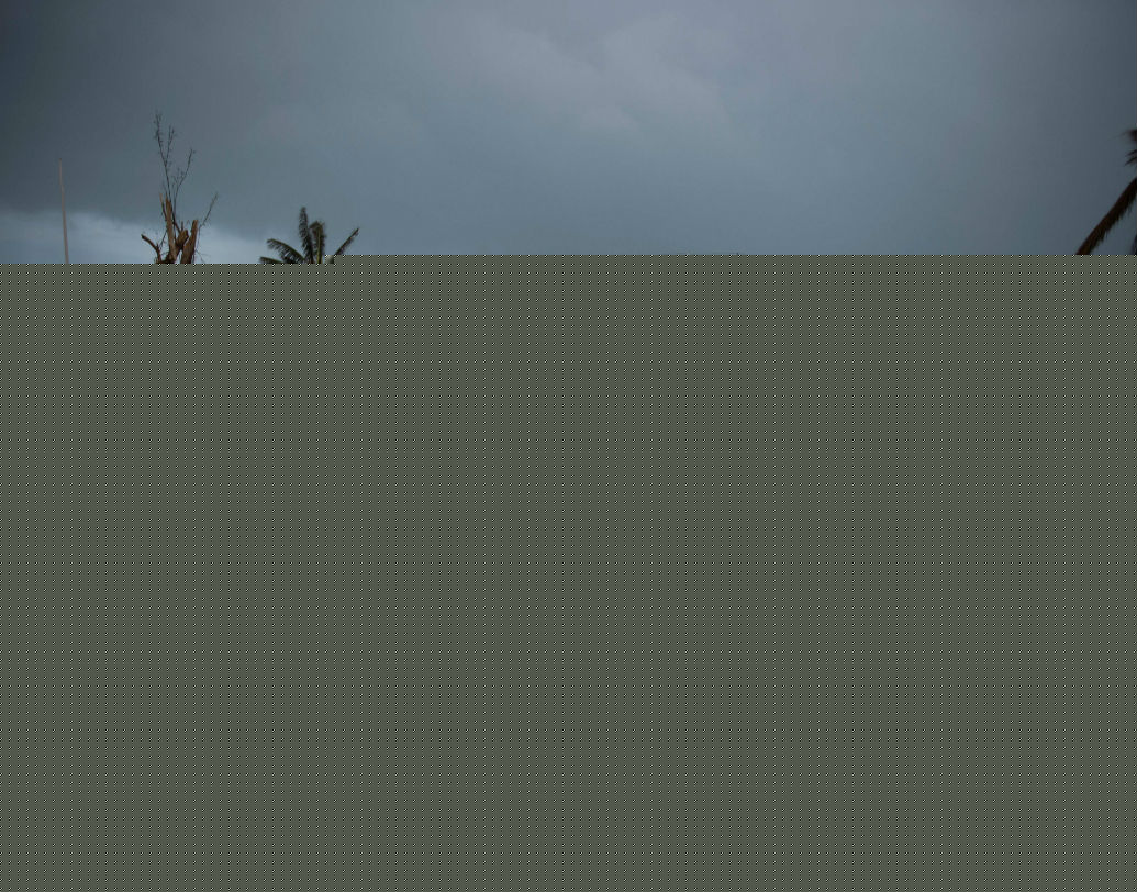 আলাবামা থেকে নর্থ ক্যারোলিনা সবাইকেই সতর্ক করে দেওয়া হয়েছে। ভার্জিনিয়া ও আলাবামাতেও জরুরি অবস্থা ঘোষিত হয়েছে।