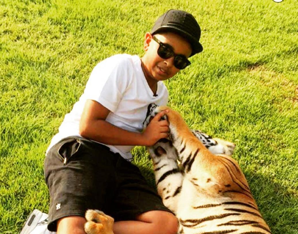 তবে র‌্যাশডের পোষ্যদের সংখ্যাও প্রচুর। কিন্তু যে ধরণের প্রাণীরা র‌্যাশডের পোষ্য তা শুনলে শিউরে উঠতে হয়। শিম্পাঞ্জি থেকে বাঘ— এরাই র‌্যাশডের পোষ্য।