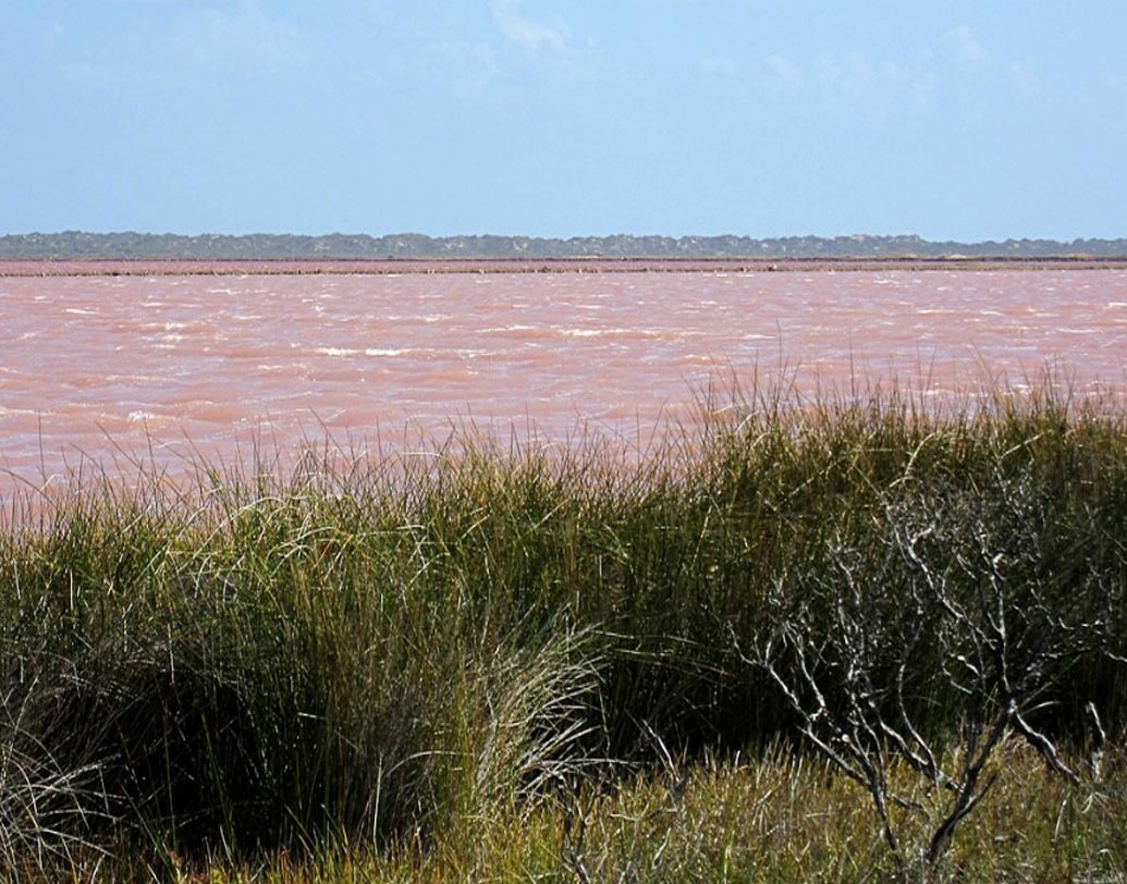 পশ্চিম অস্ট্রেলিয়ার হাট নদী সংলগ্ন হাট হ্রদের জলও গোলাপি। হ্রদের জলে মিশে থাকা লালচে রঙের শ্যাওলার জন্য এই হ্রদের জল গোলাপি দেখতে লাগে।