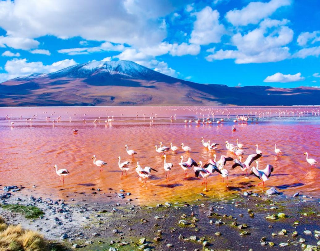 বলিভিয়ার লাগুনা কলরডা হ্রদের জলের সঙ্গে মিশে থাকা খনিজ এবং লালচে রঙের শ্যাওলার জন্য এই হ্রদের জল গোলাপি দেখতে লাগে।