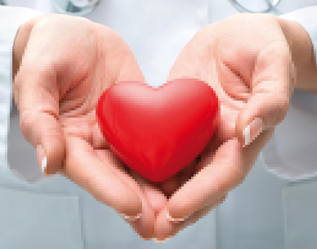 কার্ডিও ভাসকুলার সিস্টেম: চায়ের মধ্যে থাকা ক্যাফেইন আমাদের কার্ডিও ভাসকুলার সিস্টেমের জন্য ক্ষতিকারক। তাই হার্টের সমস্যা থাকলে অতিরিক্ত চা খাওয়া এড়িয়ে চলুন।