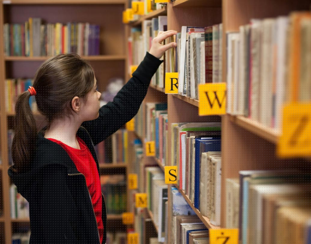 বাচ্চাকে নিয়ে বুক শপিং-এ যান। ওকে ওর পছন্দ মতো বই বেছে নিতে দিন। সেই বই কিনে দিন। নিজের পছন্দ করা বই অবশ্যই পড়বে।