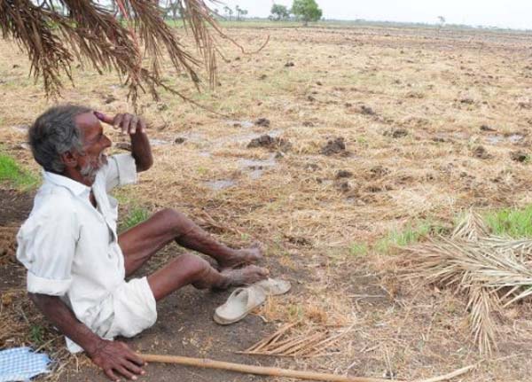 Rural producers including farmers should get disaster insurance
