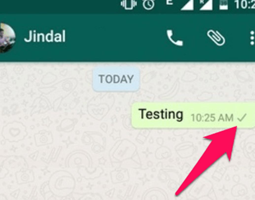 যে কোনও মেসেজই পাঠান না কেন, কখনওই তা ডবল টিক হবে না। সিঙ্গল টিক হয়েই থাকবে।