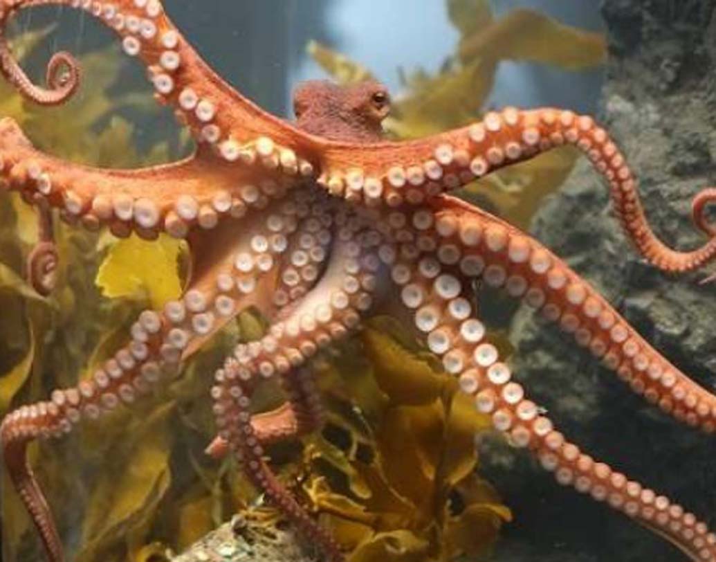 প্রতীকী ছবি।