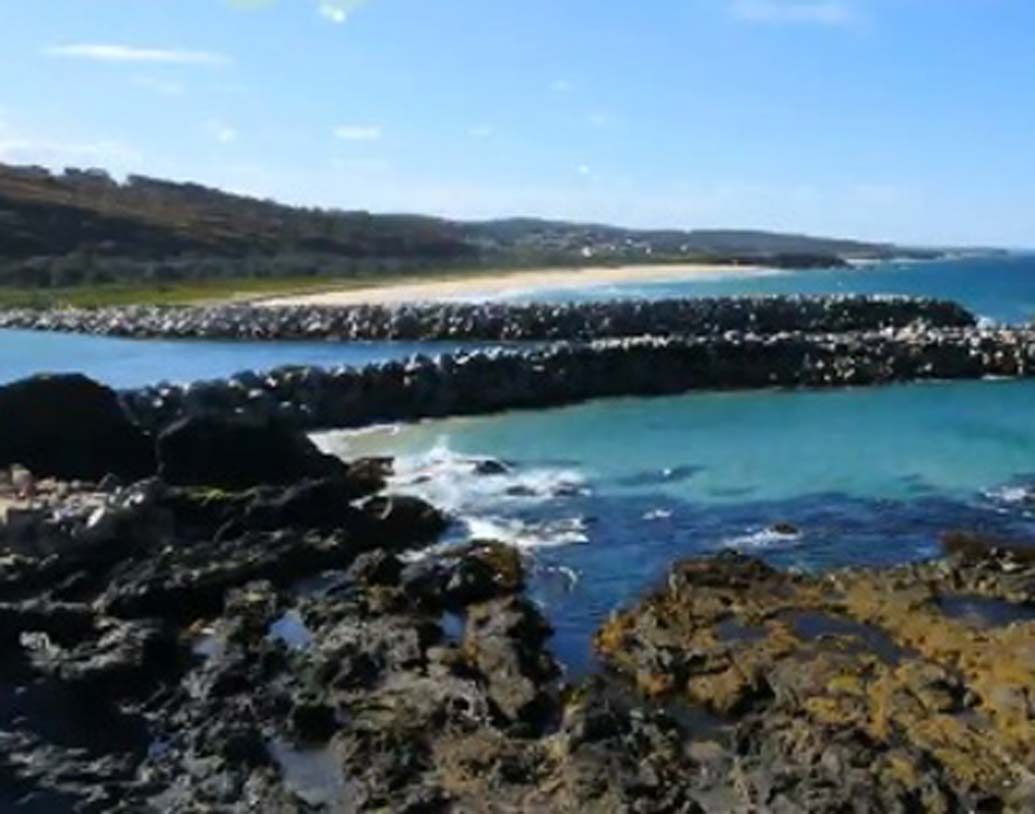 হ্যাঁ, শুনতে অবাক লাগলেও এটাই সত্যি। অস্ট্রেলিয়ার পূর্ব উপকূলে সমুদ্রের নীচে এই আস্ত শহরটি তৈরি করেছে অক্টোপাসরা।