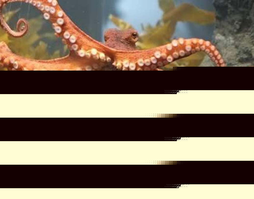 পুরো ‘শহর’টি দৈর্ঘ্যে ১৮ মিটার এবং প্রস্থে ৪ মিটার।