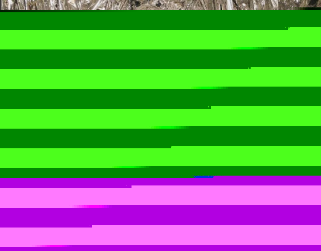 অনুষ্কা শর্মা পেয়েছেন ভোগ এবং বিএমডব্লুউ-এর ‘গেম চেঞ্জার অব দ্য ইয়ার’-এর পুরস্কার।