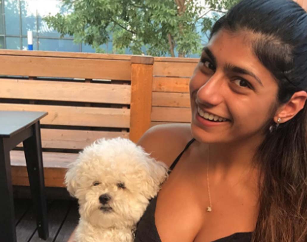 জনপ্রিয় পর্ন তারকা। মাত্র ২৪ বছর বয়সেই অনলাইনে সবচেয়ে বেশি জনপ্রিয়তা পান মিয়া। সোশ্যাল মিডিয়াতে বরাবরই খুব অ্যাকটিভ। টুইটার ও ইউটিউবে তাঁর প্রচুর ফলোয়ার।