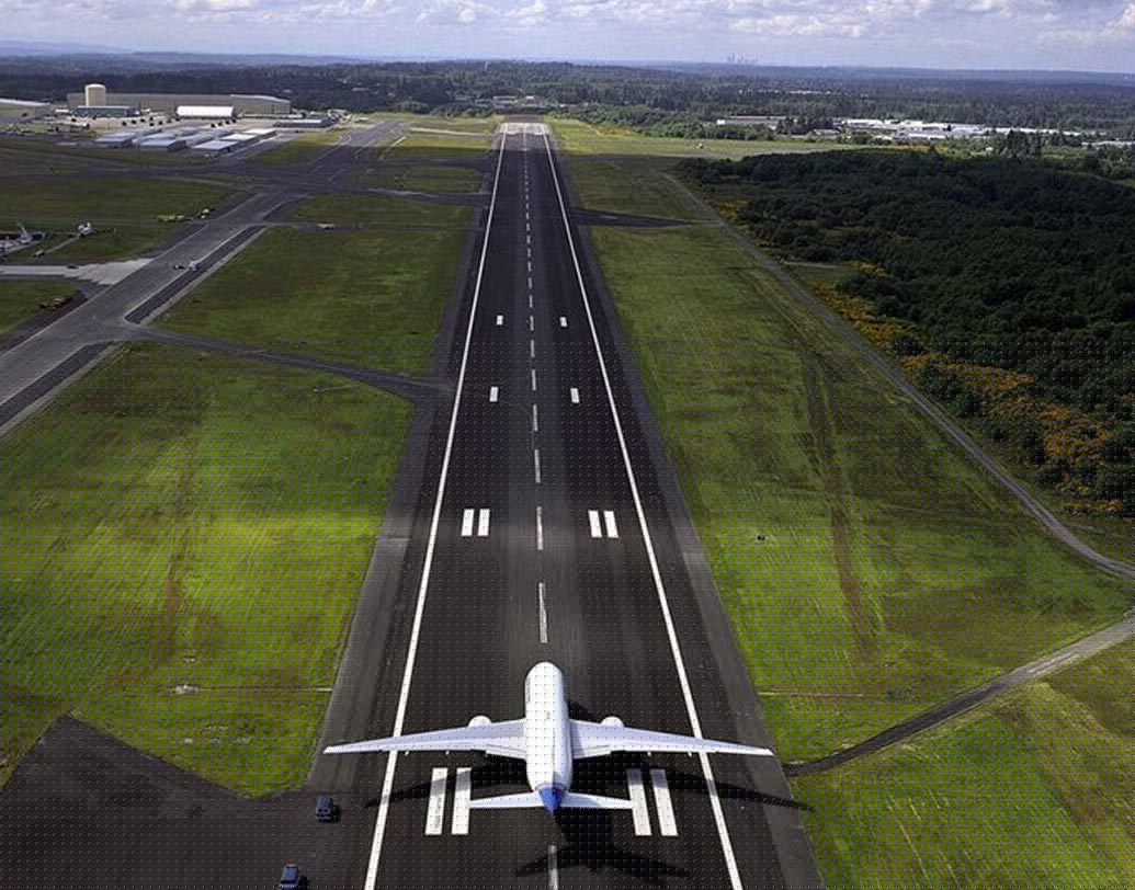 বিমান সংস্থার দায়ের করা অভিযোগ খতিয়ে দেখতে জেলা আদালতের অবসরপ্রাপ্ত বিচারপতির নেতৃত্বাধীন একটি স্বাধীন কমিটি গঠন করা হবে। ঘটনার ৩০ দিনের মধ্যে অভিযোগ খতিয়ে দেখা হবে।