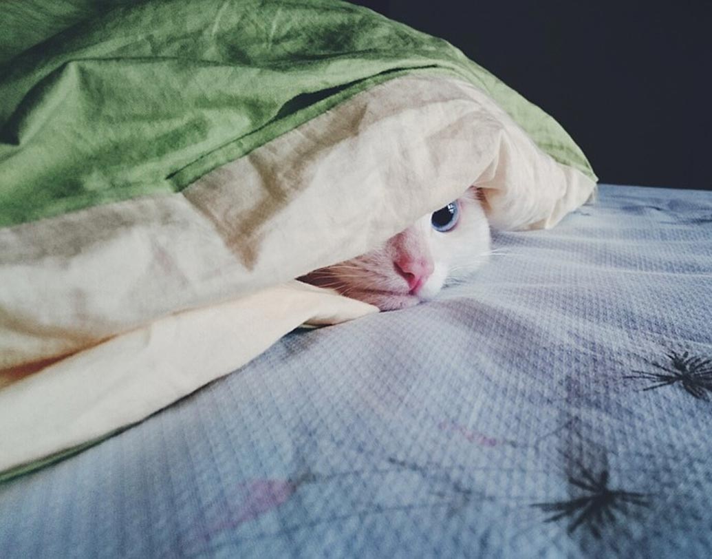 গরম কালে দিন বড় হয়। বেশিক্ষণ সূর্যের আলো থাকায় আমরা বেশি সময় সক্রিয় থাকি। শীতকালে দিন ছোট হয়। ফলে তাড়াতাড়ি কাজকর্ম শেষ করে লেপের তলায় ঢুকে পড়ি। ফলে শীতে পরিশ্রম কম হয়।