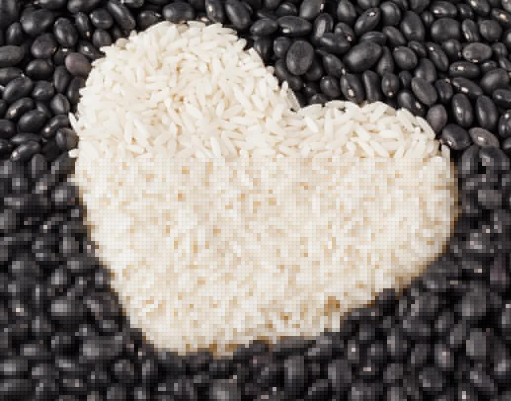 রাইস প্রোটিন: রাইস প্রোটিনে সব রকম এসেনশিয়াল অ্যামাইনো অ্যাসিড থাকে না। আবার অনেক সময়ই রাইস প্রোটিনের সঙ্গে পি প্রোটিন মেশানো থাকে। তবে হোয়ে প্রোটিনের মতো রাইস প্রোটিন ফ্যাট কমাতে ও লিন মাস বাড়াতে সাহায্য করে।