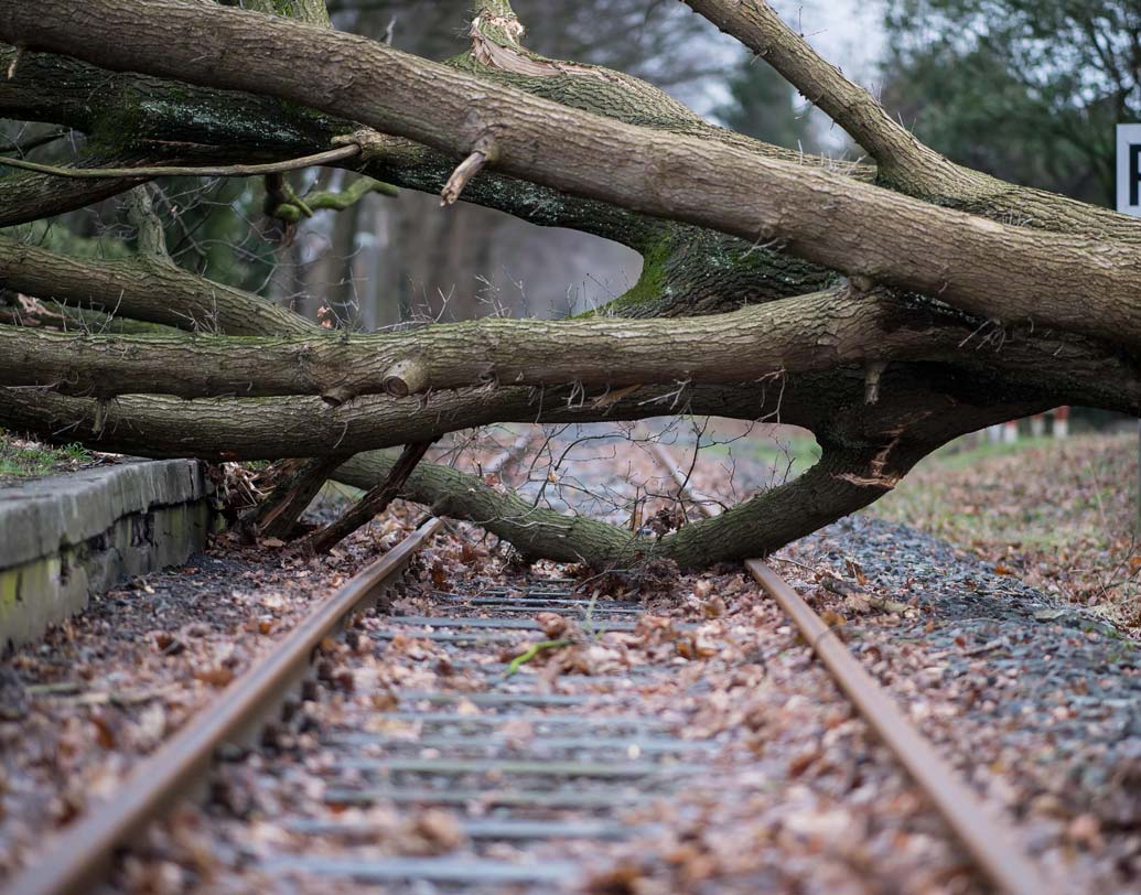 এই ঝড়ের গতিবেগ ছিল ঘণ্টায় ১৪০ কিলোমিটার। জার্মান হাওয়া অফিস সূত্রে খবর, ২০০৭ সালের পর এই প্রথম এত ভয়াবহ ঝড় দেখা গিয়েছে।