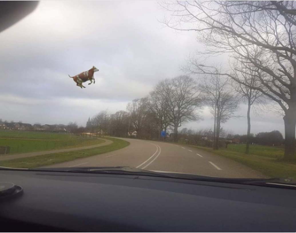 আবার এমন ছবিও শেয়ার হয়েছে, যাতে দেখা যাচ্ছে প্রায় এক নারকেল গাছ উপর দিয়ে আস্ত একটা গরু উড়ে যাচ্ছে! এই ছবিটি অবশ্য ফটোশপড। ছবিতে তার উল্লেখও রয়েছে। এমন কোনও ঘটনা সত্যি ঘটেছে কি না তা জানা যায়নি।