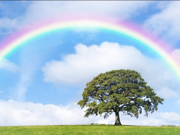  Character justice from colors dgtl