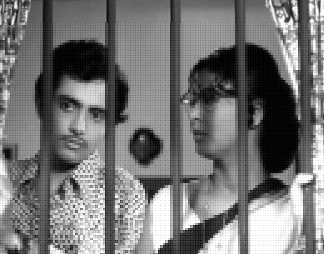 বাঘবন্দী খেলা, ছবিটির মুক্তি ১৯৭৫ সালে।