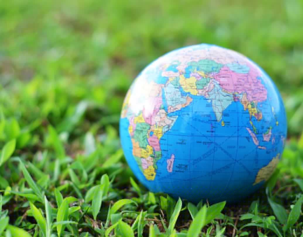 বেড়াতে যান। শুনতে অদ্ভুত লাগলেও বেড়াতে গিয়ে কর বাঁচাতে পারেন। যদি নিজের ব্যবসা থাকে তা হলে হোটেল খরচ বা ঘোরার খরচ ব্যবসায়িক খরচ হিসেবে দেখাতে পারেন। যদি চাকরি করেন তা হলে লিভ ট্র্যাভেল অ্যালাওয়েন্স ব্যবহার করুন। খেলোয়াড়, ব্যবসায়ী বা বলিউড সেলিব্রিটিরা যা করেই থাকেন।