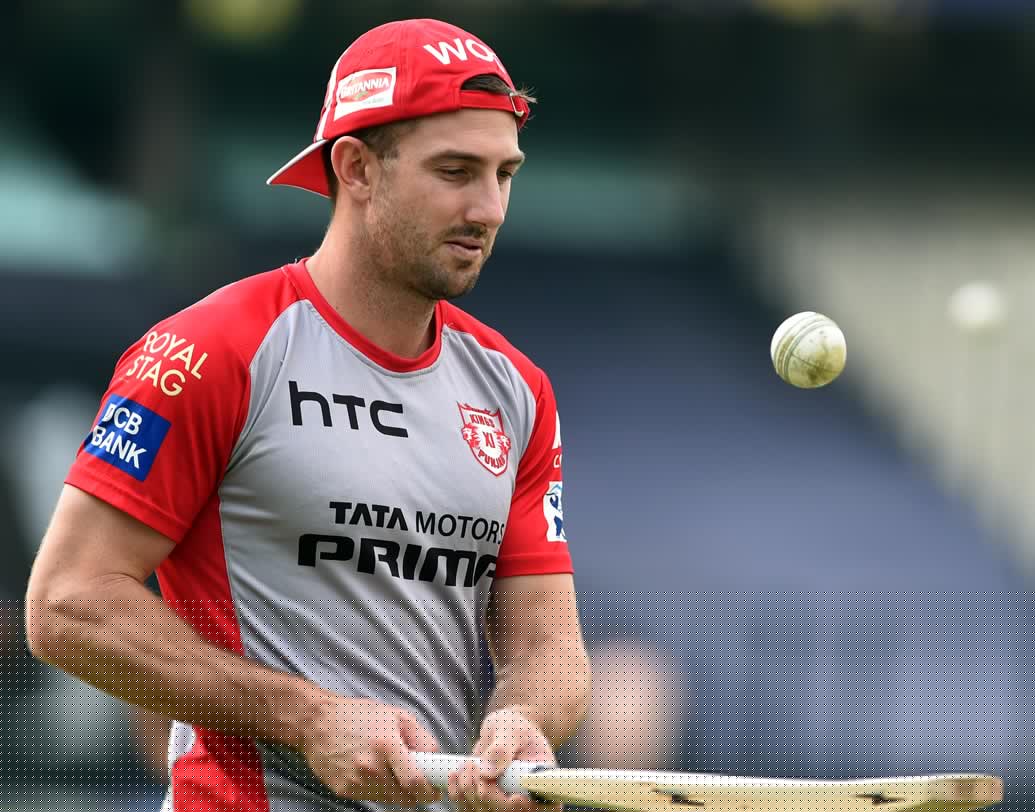 শন মার্শ: আইপিএলের প্রথম মরসুম থেকেই খেলছেন শন মার্শ। ৭১ ম্যাচে মার্শের মোট রান ২৪৭৭। সর্বোচ্চ ১১৫। স্ট্রাইক রেট ১৩২.৭৪। গড় ৩৯.৯৫। পারফরম্যান্স থাকা সত্ত্বেও আইপিএল-এ দল পাননি এই অজি ক্রিকেটার।