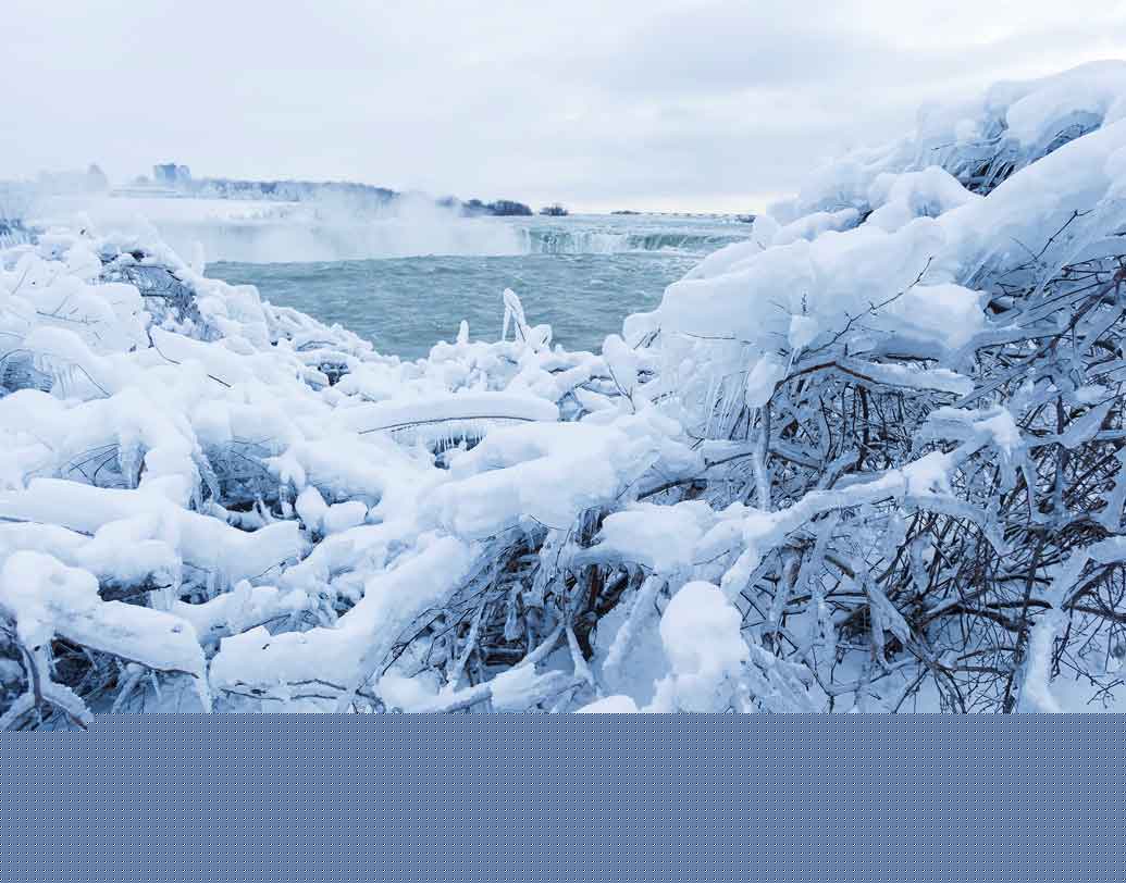 শুধু নায়াগ্রা নয়, প্রবল ঠান্ডায় জমে গিয়েছে ফ্লোরিডা, টেক্সাস-সহ আমেরিকার একটা বড় অংশও। ছবি: রয়টার্স।