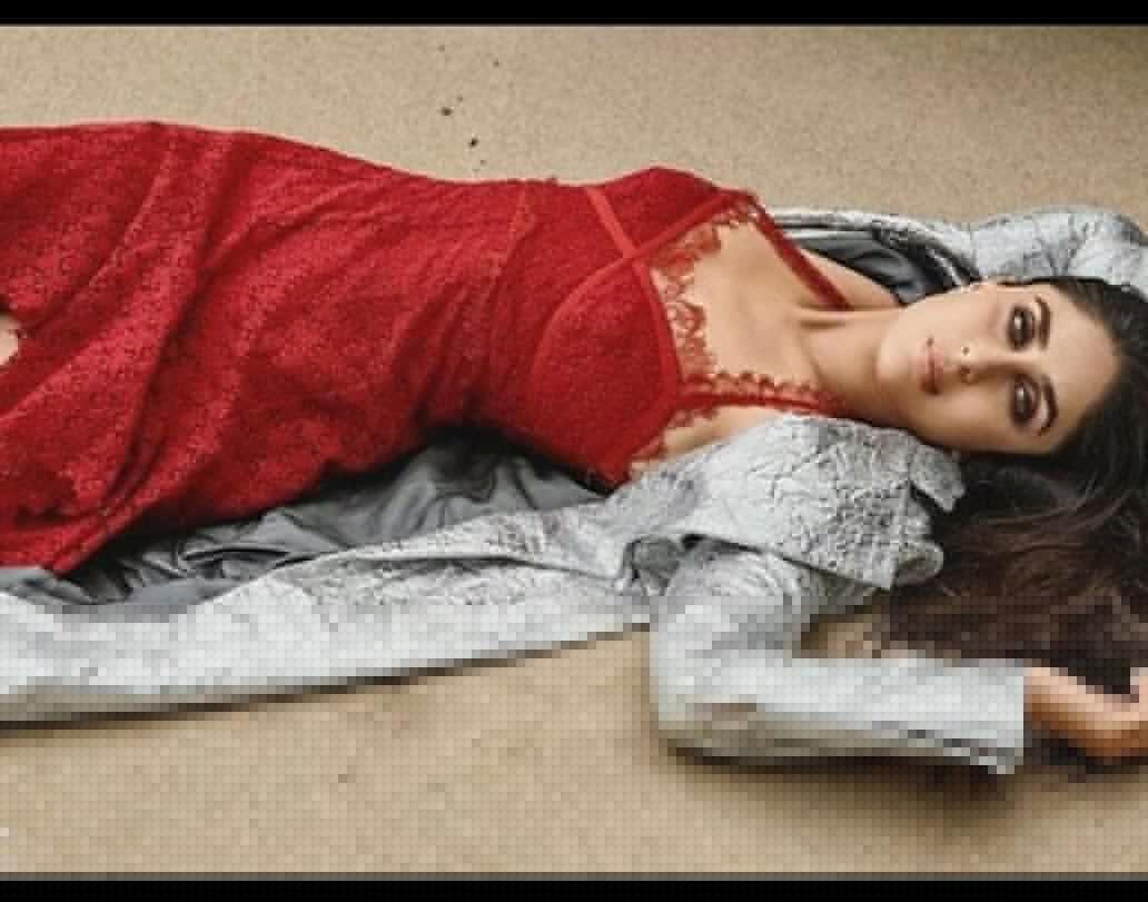 প্রেগন্যান্সির সময়ও ফ্যাশন শো-তে অংশ নিয়ে তাক লাগিয়ে দিয়েছিলেন নবাব গৃহিণী।