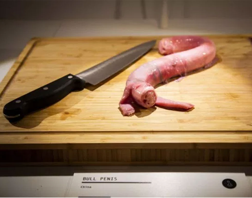 চিনের এক প্রদেশেই যাঁড়ের পেনিস খাওয়ার চল রয়েছে! সেটিও রয়েছে সংগ্রহশালায়।