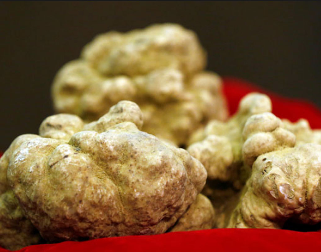 ইতালিয়ান হোয়াইট আলবা ট্রাফল: এটা একপ্রকার মাশরুম। খুব বিরল প্রজাতির। সুস্বাদু আর সুগন্ধযুক্ত এই মাশরুম মূলত উত্তর ইতালিতে পাওয়া যায়। এক কেজি ট্রাফলের দাম ১ লক্ষ ৭১ হাজার টাকা।