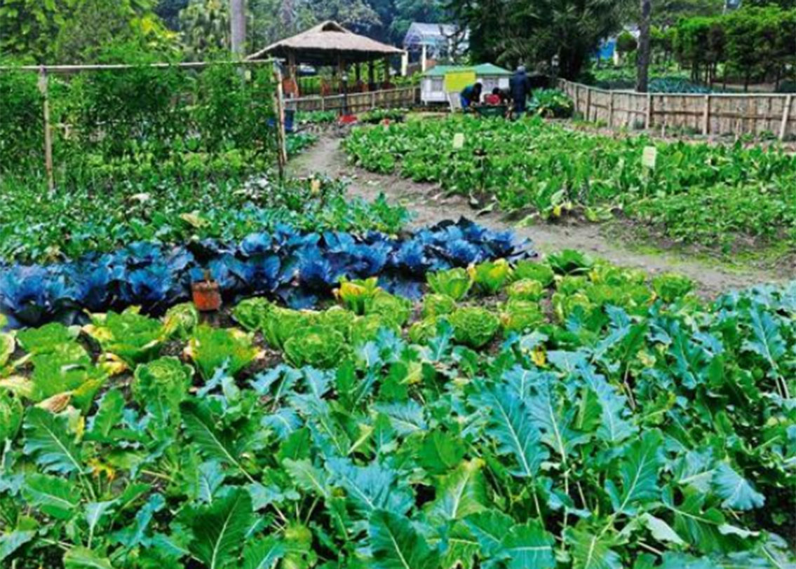 সিকিমের পরেই রয়েছ ব্রাজিল, ডেনমার্ক এবং কোয়েটা। তারা পেয়েছে রুপো।