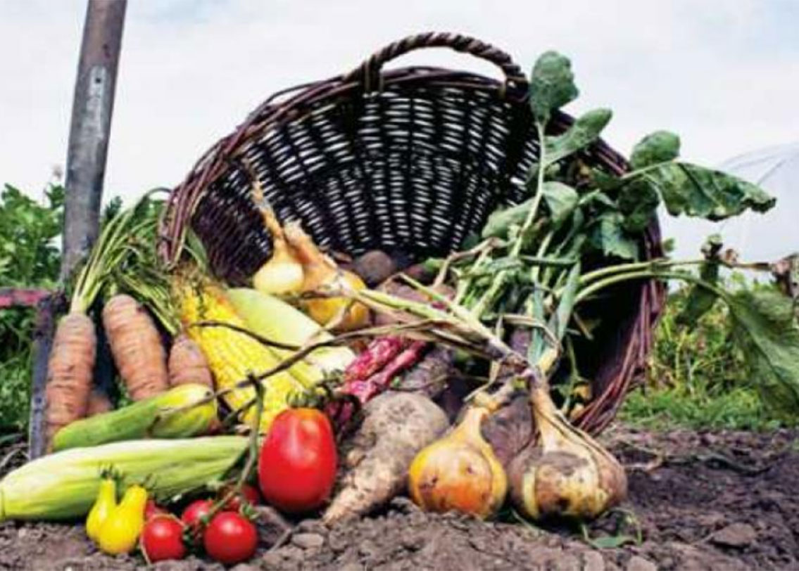 কী ভাবে ১০০ শতাংশ অর্গানিক রাজ্য হল সিকিম? চাষে কোনওরকম রায়াসনিক, পেস্টিসাইড ব্যবহার করেনি তারা। ফসলের ভাল উৎপাদনের জন্য ব্যবহার করেছে শুধুমাত্র জৈব সার। যাতে কোনও চাষি রাসায়নিক ব্যবহার করতে না পারেন, তার জন্য রাসায়নিক পেস্টিসাইডের বিক্রিও নিষিদ্ধ করে দেয় সিকিম সরকার।