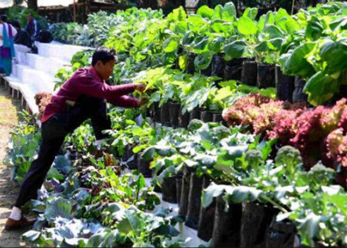 ২০০৩ সাল থেকে এই ব্যাপারে রাজ্য সরকার উদ্যোগী হয়। জৈব পদ্ধতিতে বিকল্প পেস্টিসাইডের উৎপাদন শুরু হয় সিকিমে। তিন বছরে দেশের মধ্যে একমাত্র অর্গানিক রাজ্যে পরিণত হয় সিকিম।