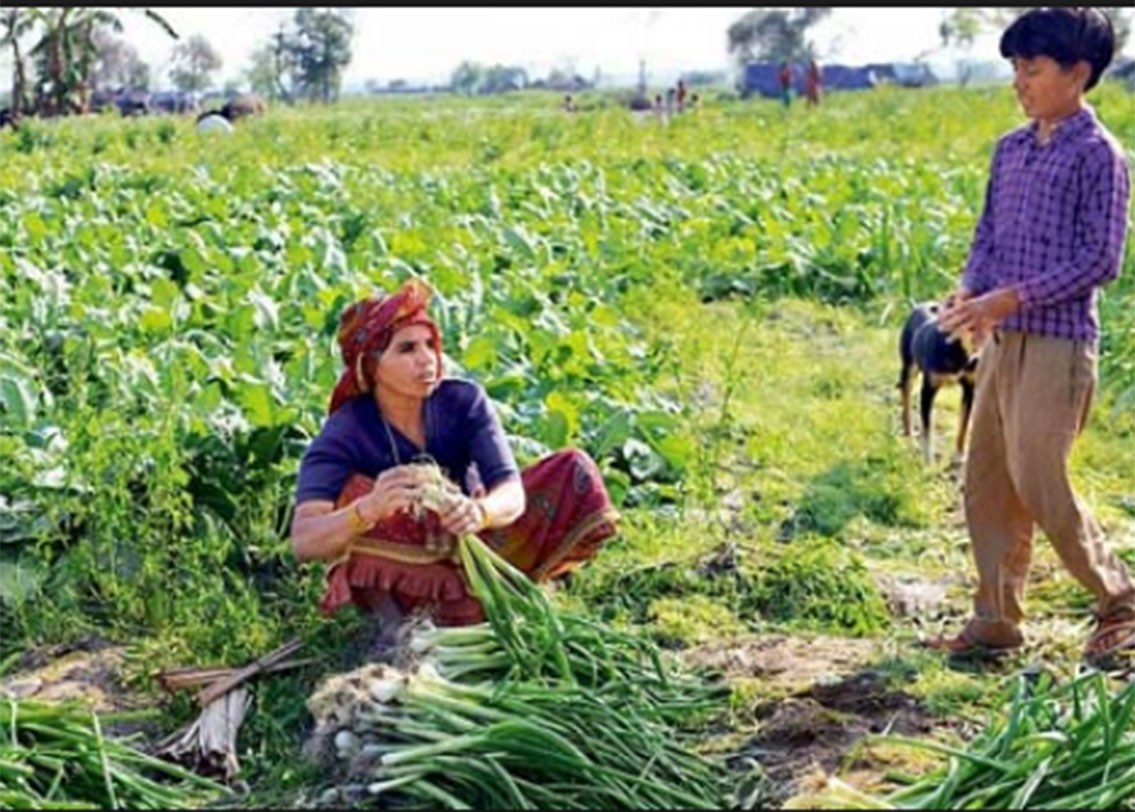 বর্তমানে সিকিমের মুখ্যমন্ত্রী পবনকুমার চামলিং অ্যাওয়ার্ড নেওয়ার জন্য রোমে রয়েছেন।