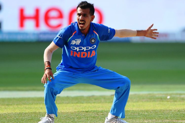 যুজভেন্দ্র চহালও মাঝের ওভারে ভারতীয় বোলিংয়ের অন্যতম ভরসা। লেগস্পিনার অভ্রান্ত নিশানায় বল করেন। নিয়ন্ত্রণও যথেষ্ট। অধিনায়ক বিরাট কোহালির হাতে কুলদীপের মতো ইনিও বিপক্ষ ইনিংসে আঘাত হানার অস্ত্র। পাশাপাশি, রান আটকানোর ক্ষমতাও রয়েছে তাঁর। ফলে, বেশ কিছুদিন ধরে তিনি ওয়ানডে দলে নিয়মিত।