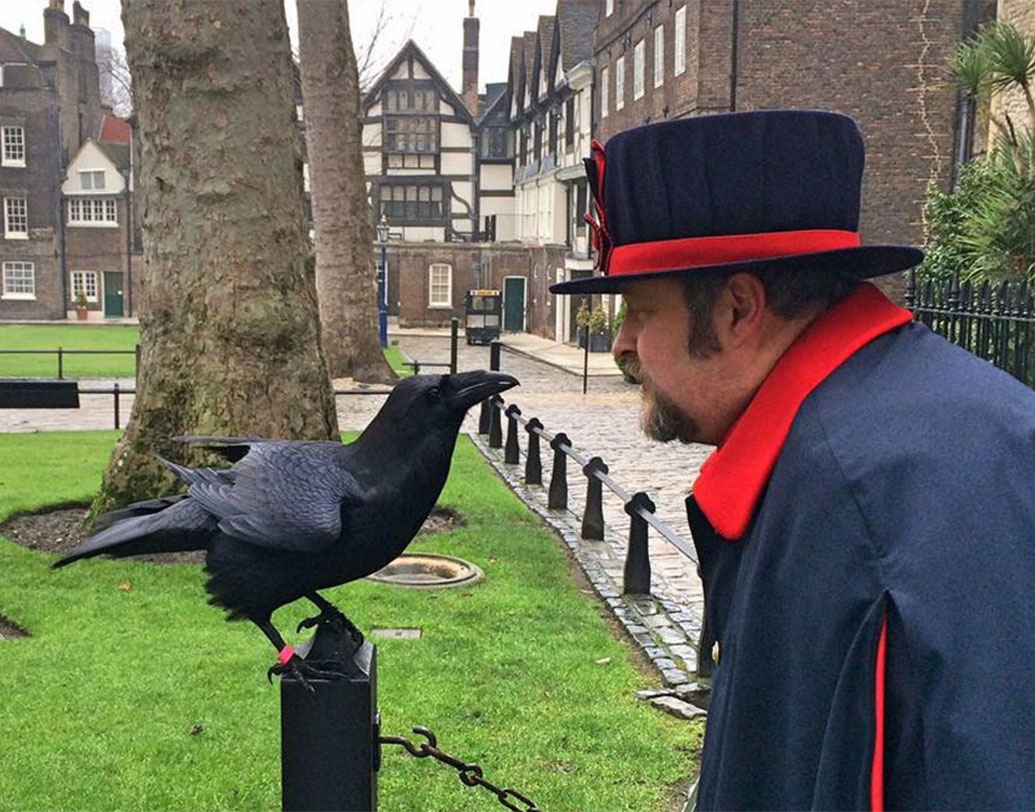 ইঁদুর ছাড়াও স্মিথফিল্ড বাজার থেকে কেনা ছোট মুরগীর ছানা বা মাছ ছাড়াও রক্তমাখানো বিস্কুটও রয়েছে এই তালিকায়। প্রিয় পোষ্য মার্লিনাকে খাওয়াতে খাওয়াতে বললেন, ‘দে আর ওয়াইল্ড, বাট হিউম্যানাইজড, দে আর ফ্রি, বাট নট ফ্রি।’