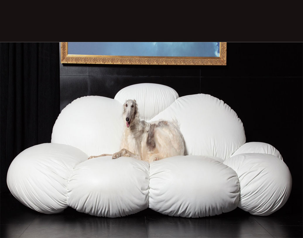 বিশেষ ক্লাউড কনসেপ্টের সোফা পোষ্যদের জন্যও তৈরি করার কাজ চলছে।