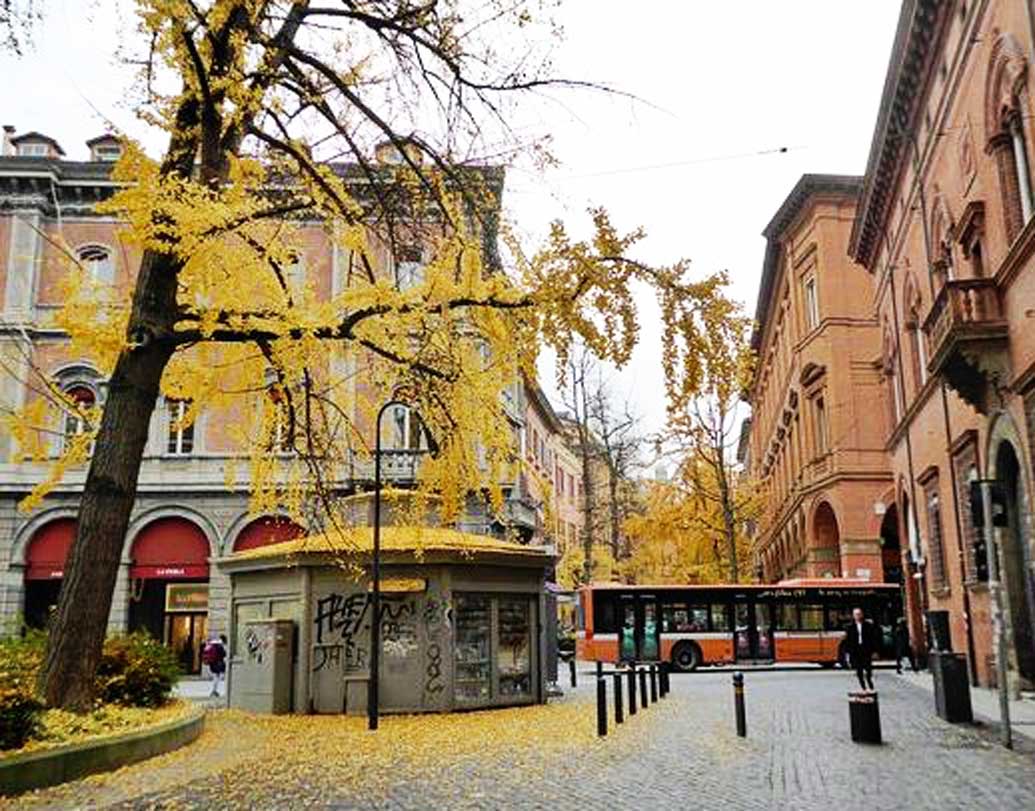 বেইলা মোসা প্রকল্পে দূষণ রুখতে এই পরিকল্পনা নেওয়া হয়েছে। গাছ পোঁতাও বাড়ানো হয়েছে শহরে। নজরদারির জন্য তৈরি করা হয়েছে বিশেষ বেটারপয়েন্টস অ্যাপ।