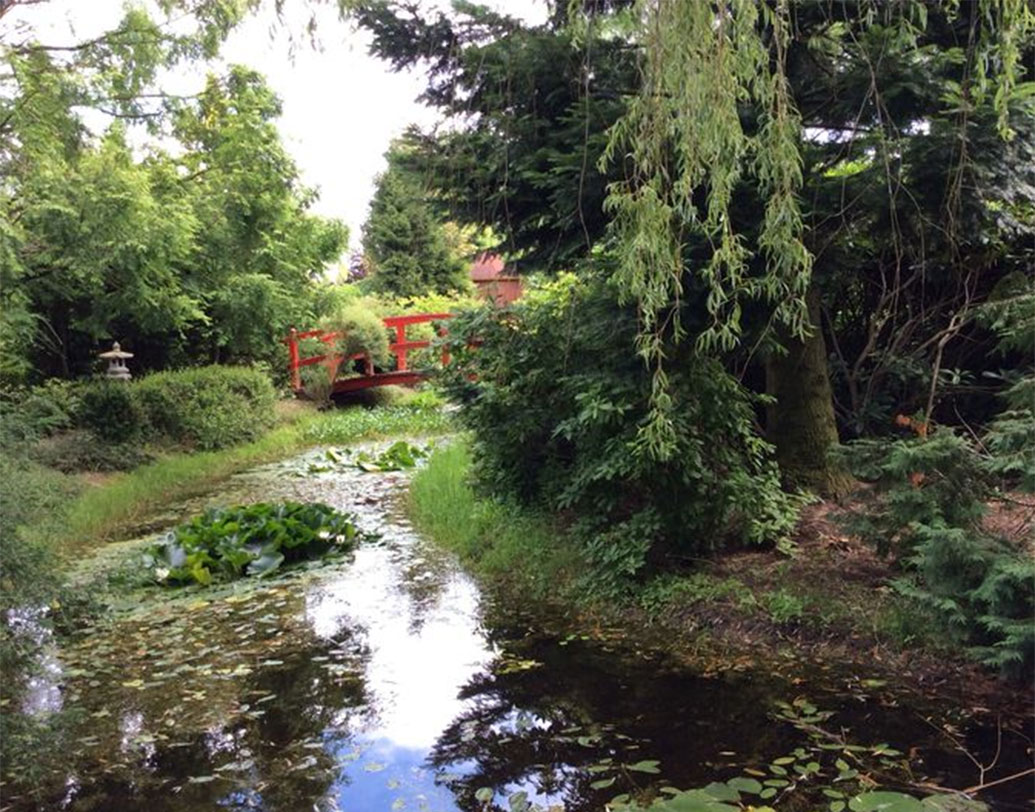 পোল্যান্ডের পশ্চিমে গ্রিফিনো শহরের কাছেই রয়েছে এই জঙ্গলটি।