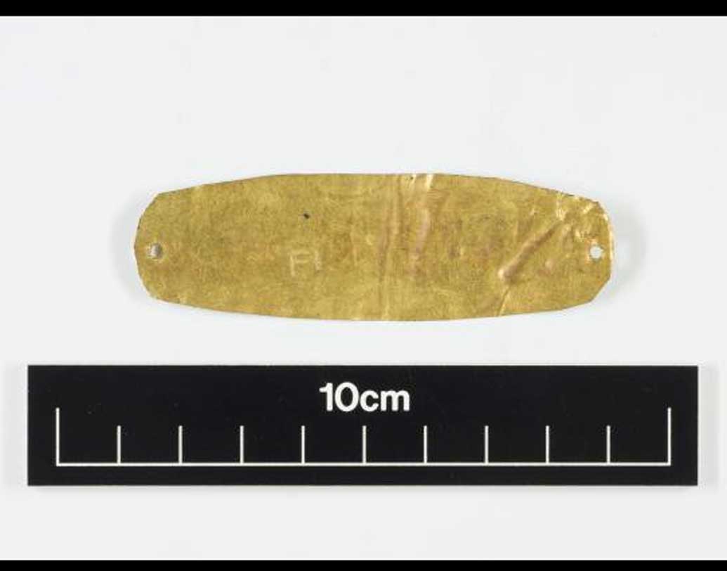 কিন্তু বোঝা যাচ্ছিল না, কেন কী ভাবে এটা ব্যবহার করা হত। কেউ বলছেন, এটা ঔষধি হিসাবেই ব্যবহৃত হত। কেউ আবার বলছেন, প্রচীন আমলে বিশ্বাস করা হত, মৃতদেহ থেকে আত্মা এর ফলে বেরিয়ে যেতে পারবে না। এই নিয়ে গবেষণা এখনও চলছে।