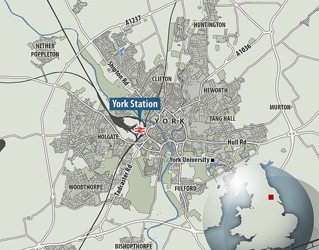 ইয়র্কশায়ার মিউজিয়ামের প্রত্নতত্ত্ববিদ্যা বিভাগের সহকারী কিউরেটর অ্যাডাম পার্কার বলেন, ইয়র্ক স্টেশনে প্রাপ্ত ওই কঙ্কালটি নিয়ে আরও গবেষণা চলছে। বয়স জানা গিয়েছে, সোনার পাতটির। কিন্তু এটা সবে শুরু।