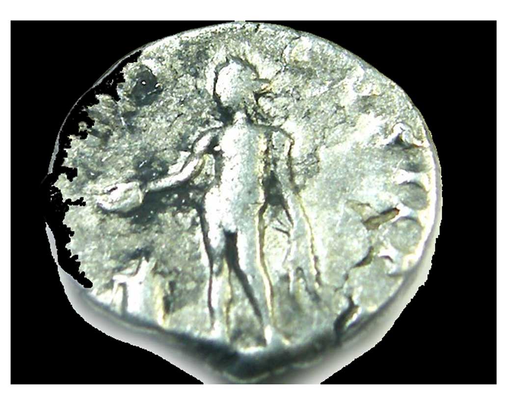 মহিলাকে সমাধিস্থ করার সময় নকল রুপোর মুদ্রাও দেওয়া হয়েছিল সঙ্গে।