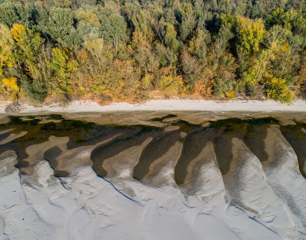 ইউরোপের অন্য নদীগুলির মতো দানিউবেরও বেশ কিছু জায়গা একেবারে শুকিয়ে গিয়েছে। মাত্র ১৫ ইঞ্চি জলস্তর এই নদীতে।